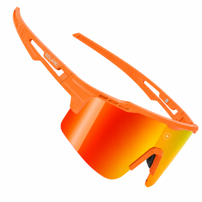 Citrus Burst